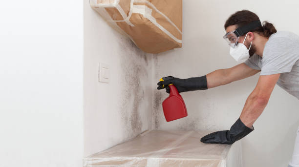 Professional Bathroom Mold Removal technician working in Geneva, IL