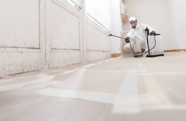 24/7 Emergency Bathroom Mold Removal experts in Geneva, IL