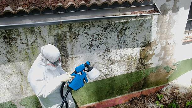 Top rated local Bathroom Mold Removal specialists in Geneva, IL
